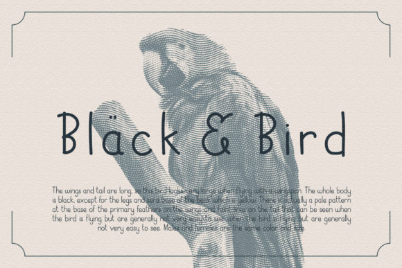 Black Bird Font: A Handwritten Typeface That Speaks to Your Audience