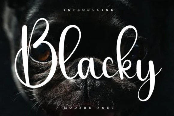 Blacky: A Script Font That Elevates Editorial Design