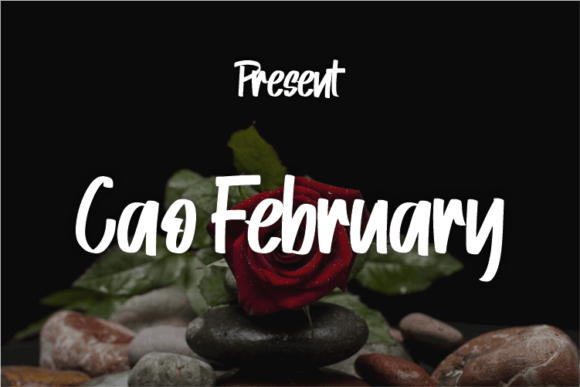 Cao February: A Modern Script Typeface for Editorial Elegance